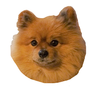 ケン